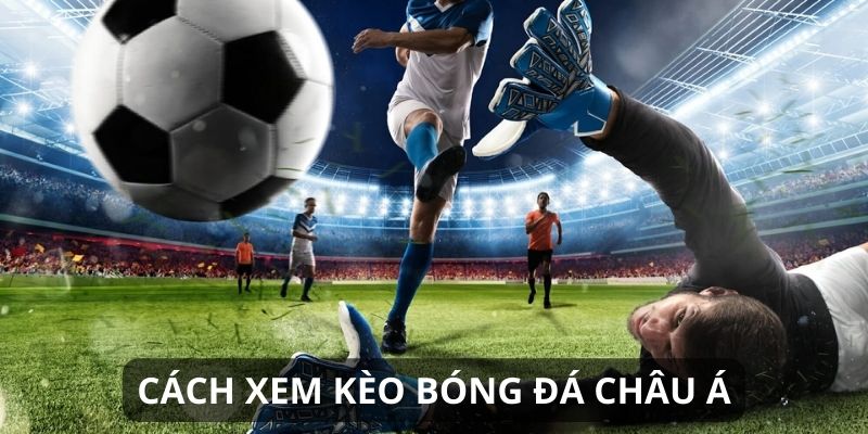 Hướng dẫn cách xem kèo châu Á chuẩn nhất