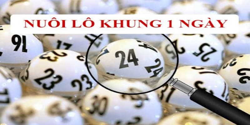 Những lưu ý quan trọng trong cách nuôi lô khung 1 ngày