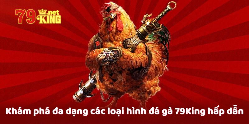 Khám phá đa dạng các loại hình đá gà 79King hấp dẫn