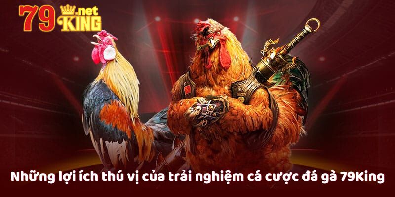 Những lợi ích thú vị của trải nghiệm cá cược đá gà 79King