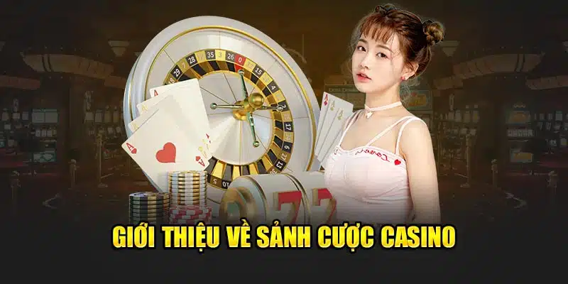 Hướng dẫn 77bet thao tác chuẩn chỉnh nhất 2024